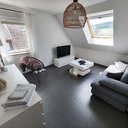 Bel Appartement En Centre Alsace Kintzheim Ngoại thất bức ảnh
