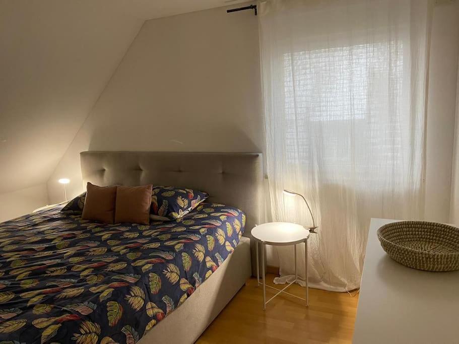 Bel Appartement En Centre Alsace Kintzheim Ngoại thất bức ảnh